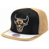 Gorra Mitchell & Ness Hssmm19224Bktn