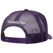 Imagen del producto con referencia HT11505-LALPURP
