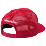 Gorra Mitchell & Ness Chicago Bulls