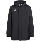 Chaqueta Adidas Entrada 22 Stadium