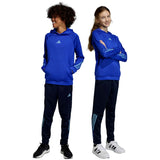 Sudadera Con Capucha Adidas Train Icons Aeroready Knit 3 Bandas