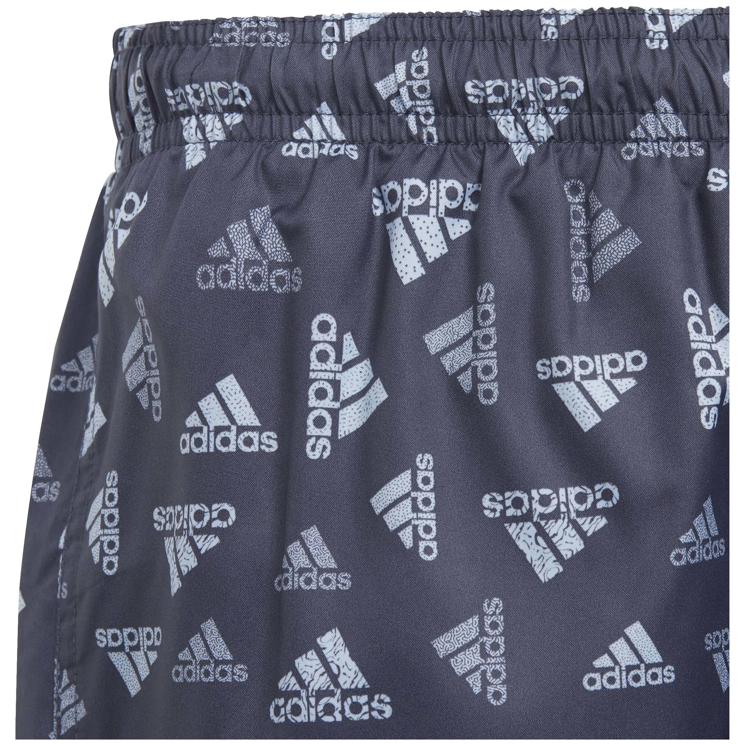 Bañador Adidas Bos Aop