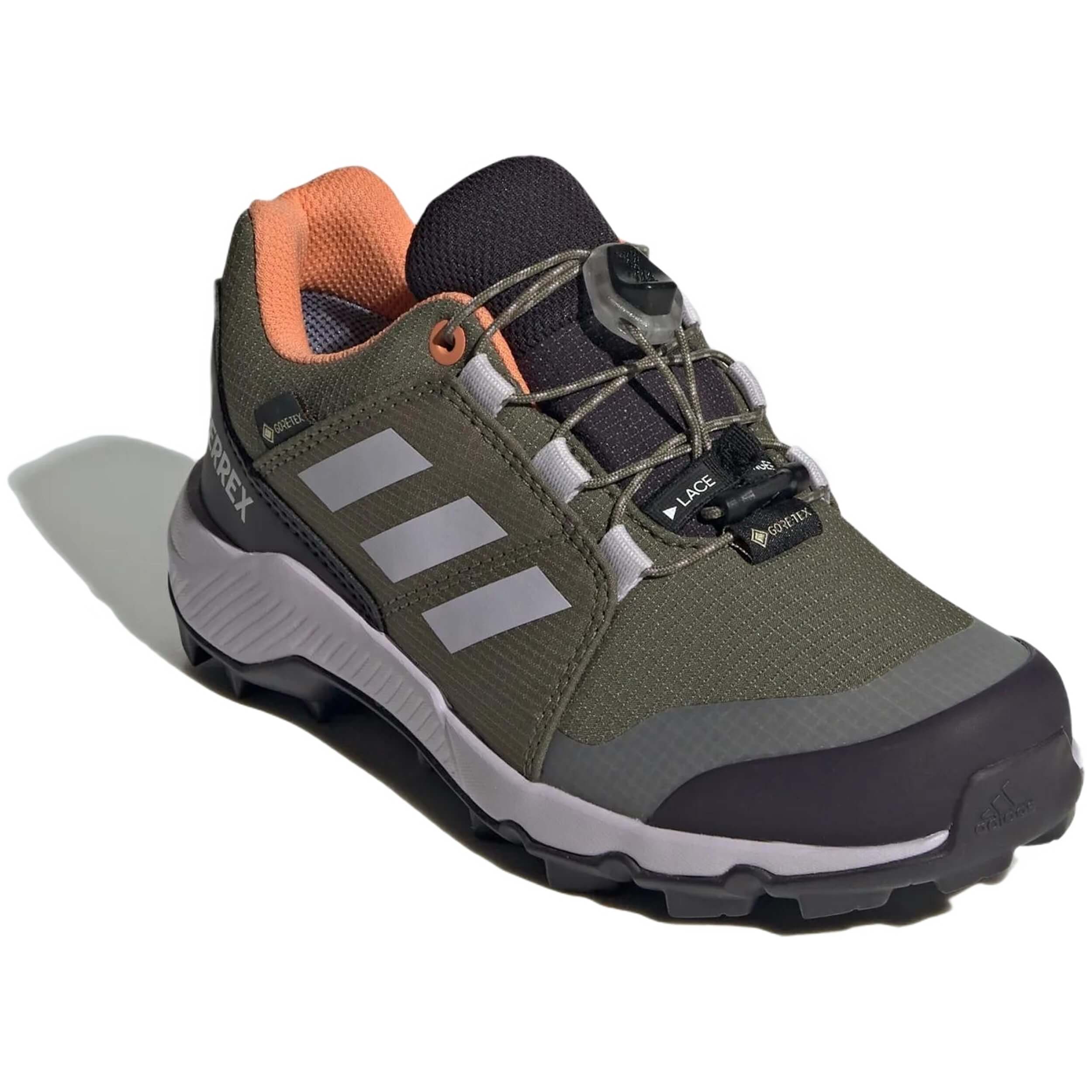 Adidas Terrex Gore Tex Trekking Shoes