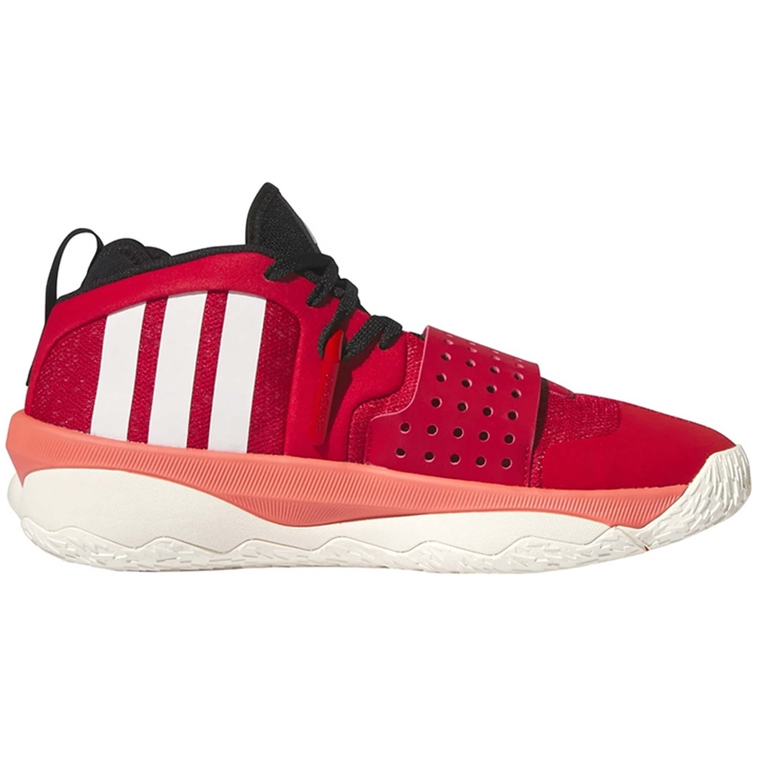 Imagen del producto con referencia IF1506