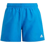 Adidas swimsuit