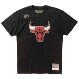 Camiseta De Manga Corta Mitchell & Ness