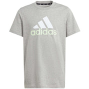 Adidas Big Logo 2 Short Sleeve T-Shirt