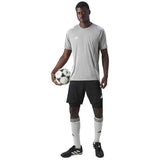 Camiseta De Manga Corta Adidas Tiro 24 "Team Mid Grey / White"