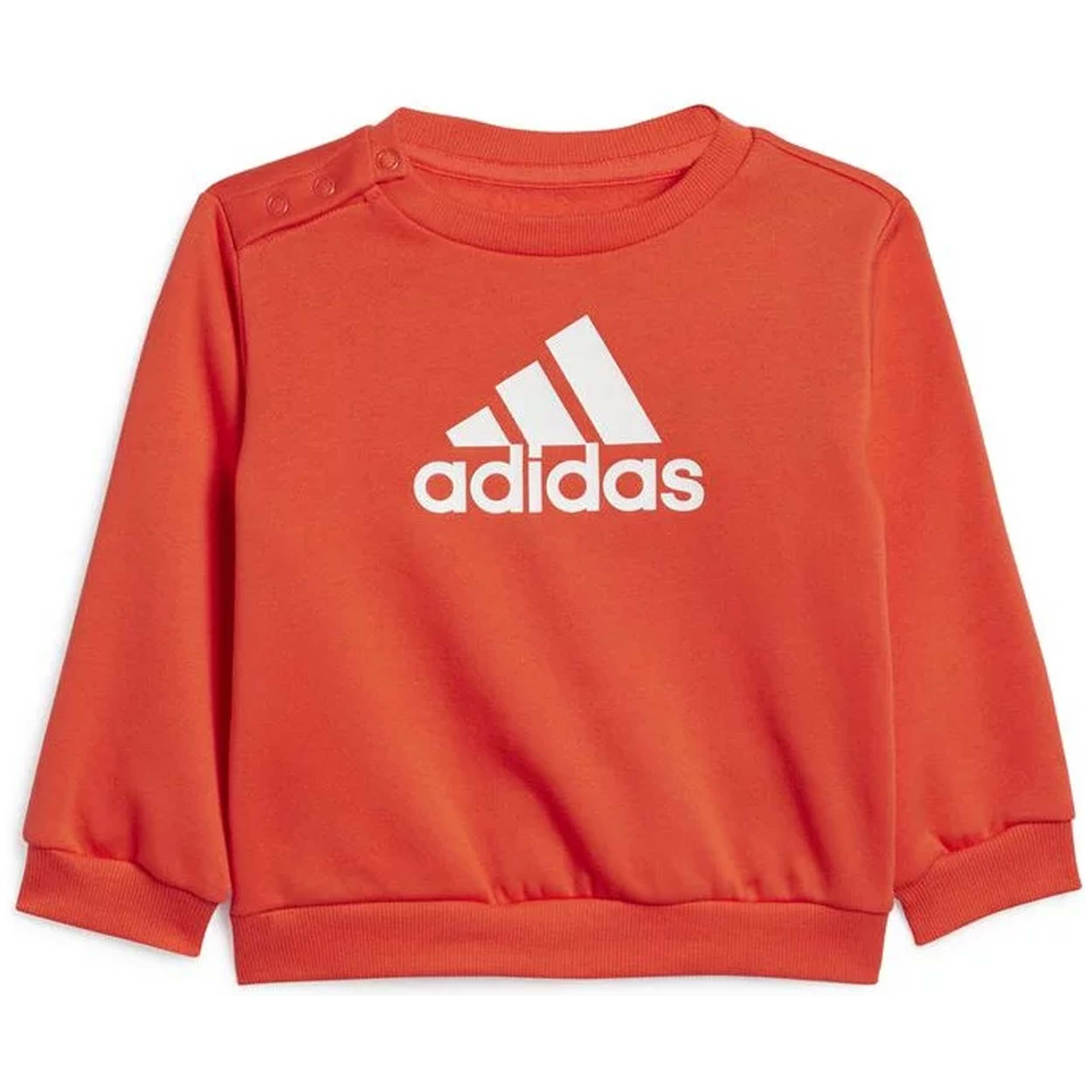 Imagen del producto con referencia IS2518