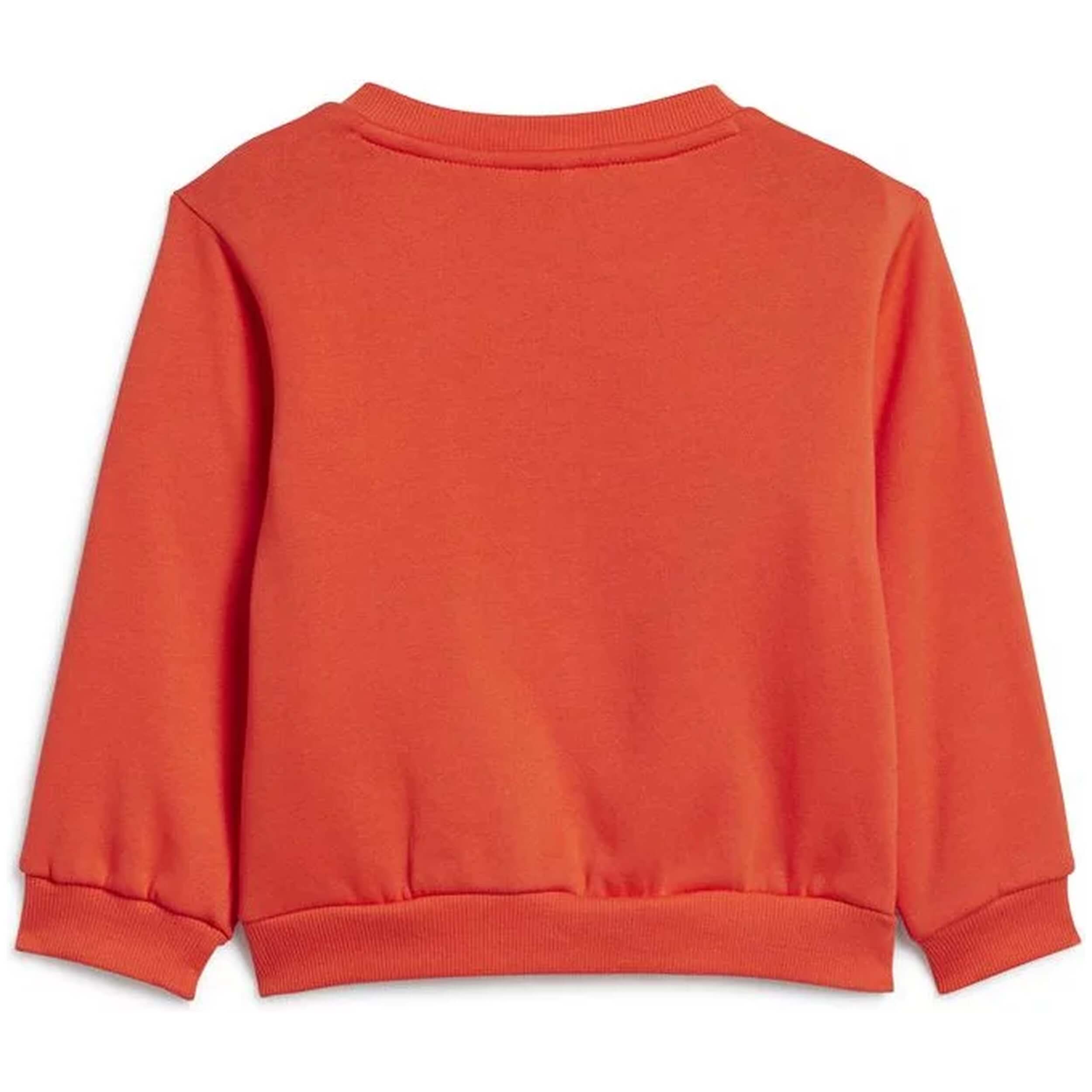 Imagen del producto con referencia IS2518