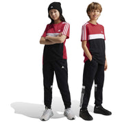 Adidas Tiberio 3-Stripes Long Pants