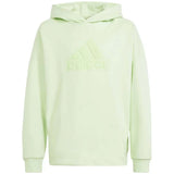 Adidas Future Icons Hoodie