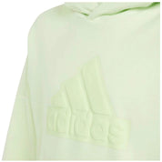 Adidas Future Icons Hoodie