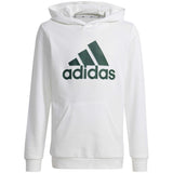 Adidas IV7325 Hoodie