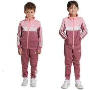 Chandal Adidas Iv7440