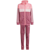 Chandal Adidas Iv7440