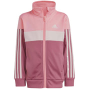 Chandal Adidas Iv7440