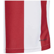 Imagen del producto con referencia IW2133