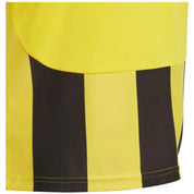 Imagen del producto con referencia IW2135
