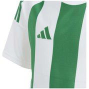 Imagen del producto con referencia IW2138