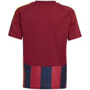 Imagen del producto con referencia IW2139