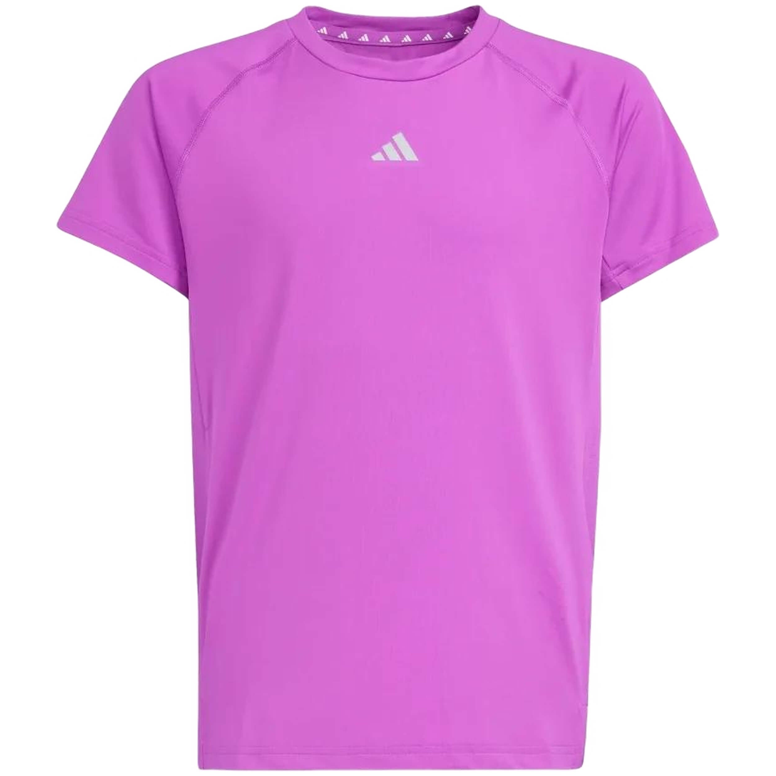 Adidas Gym Short Sleeve T-Shirt