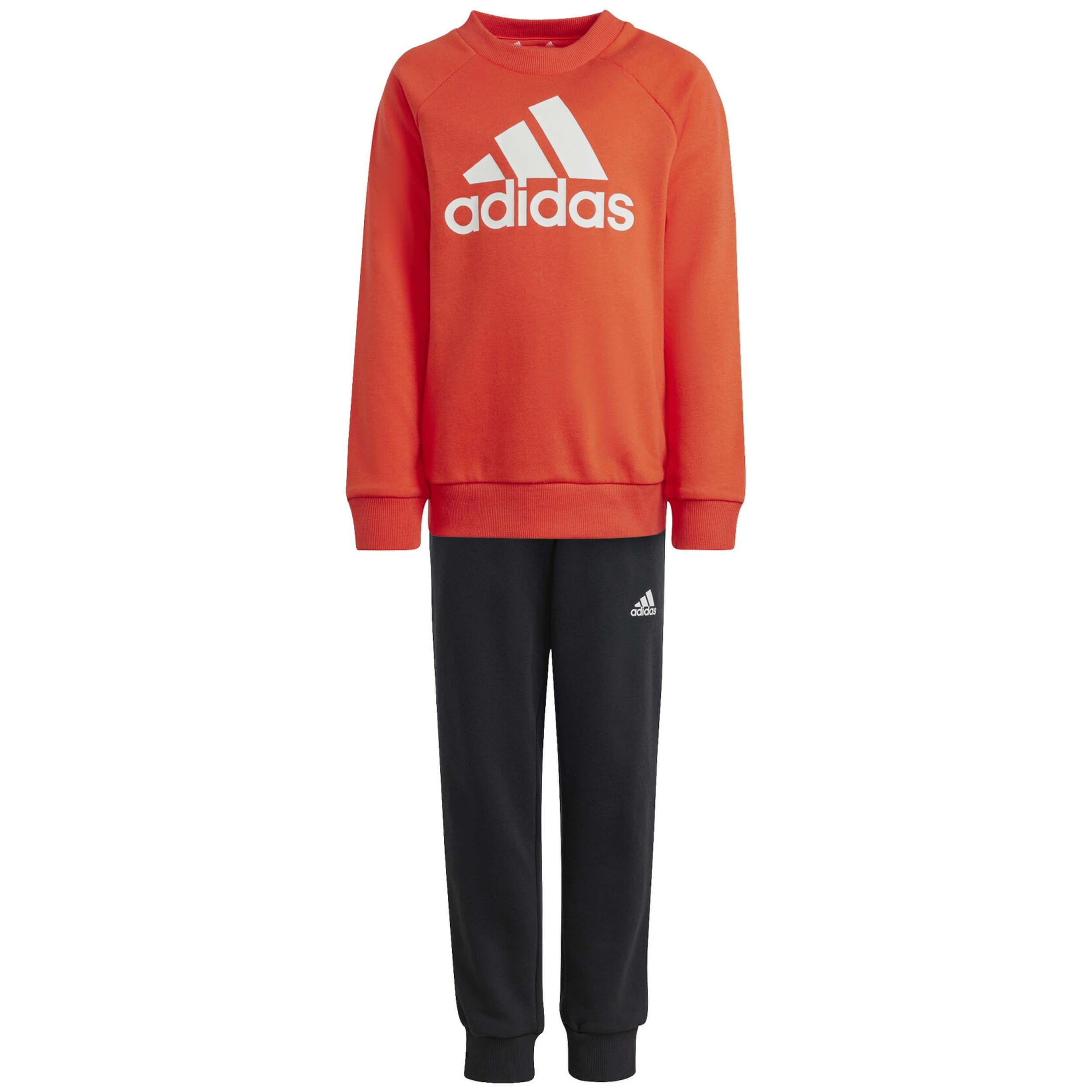 Imagen del producto con referencia IX7363