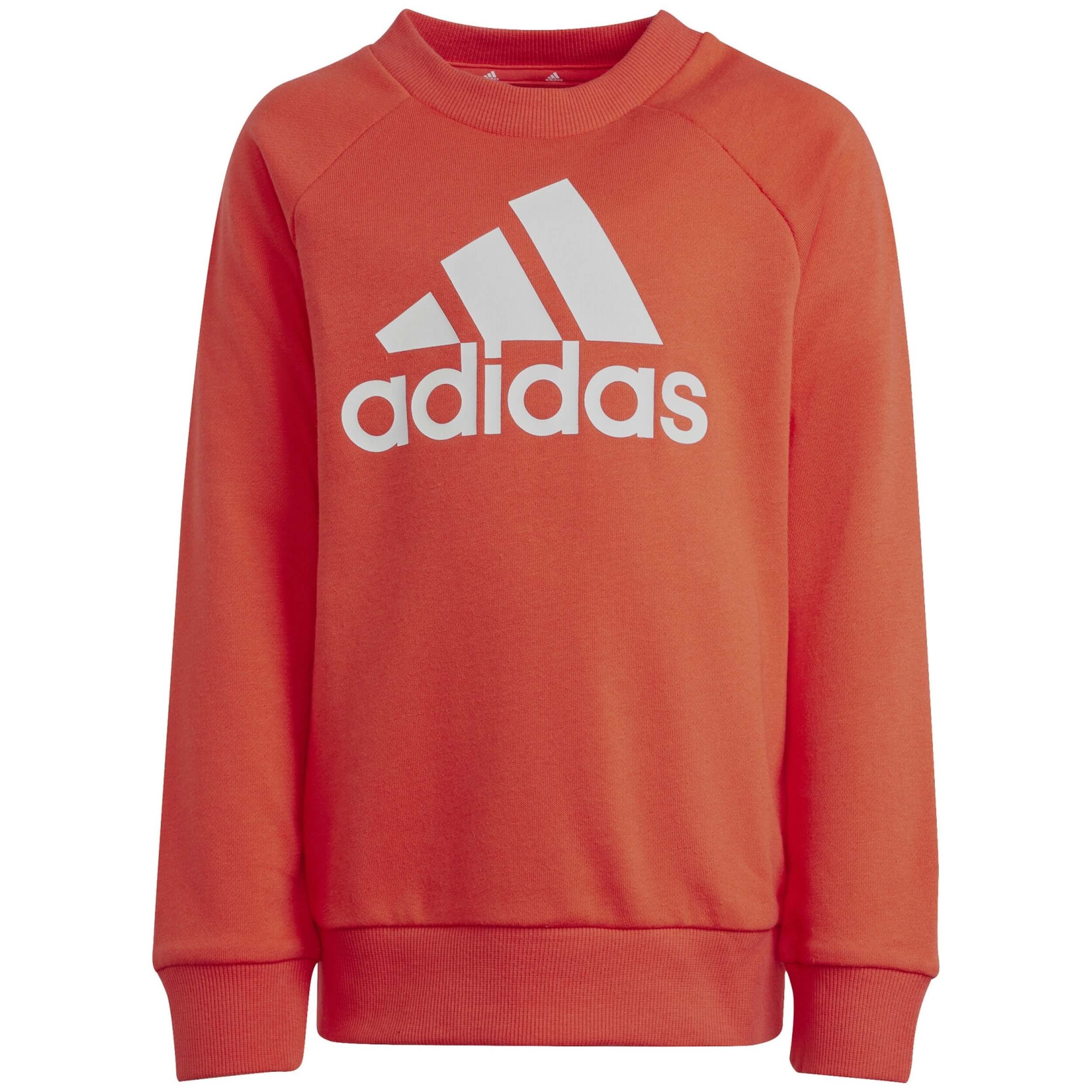 Imagen del producto con referencia IX7363