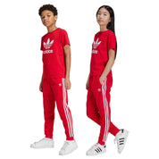 Pantalon Largo Adidas Adicolor Sst