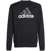 Chandal Adidas Ix9518