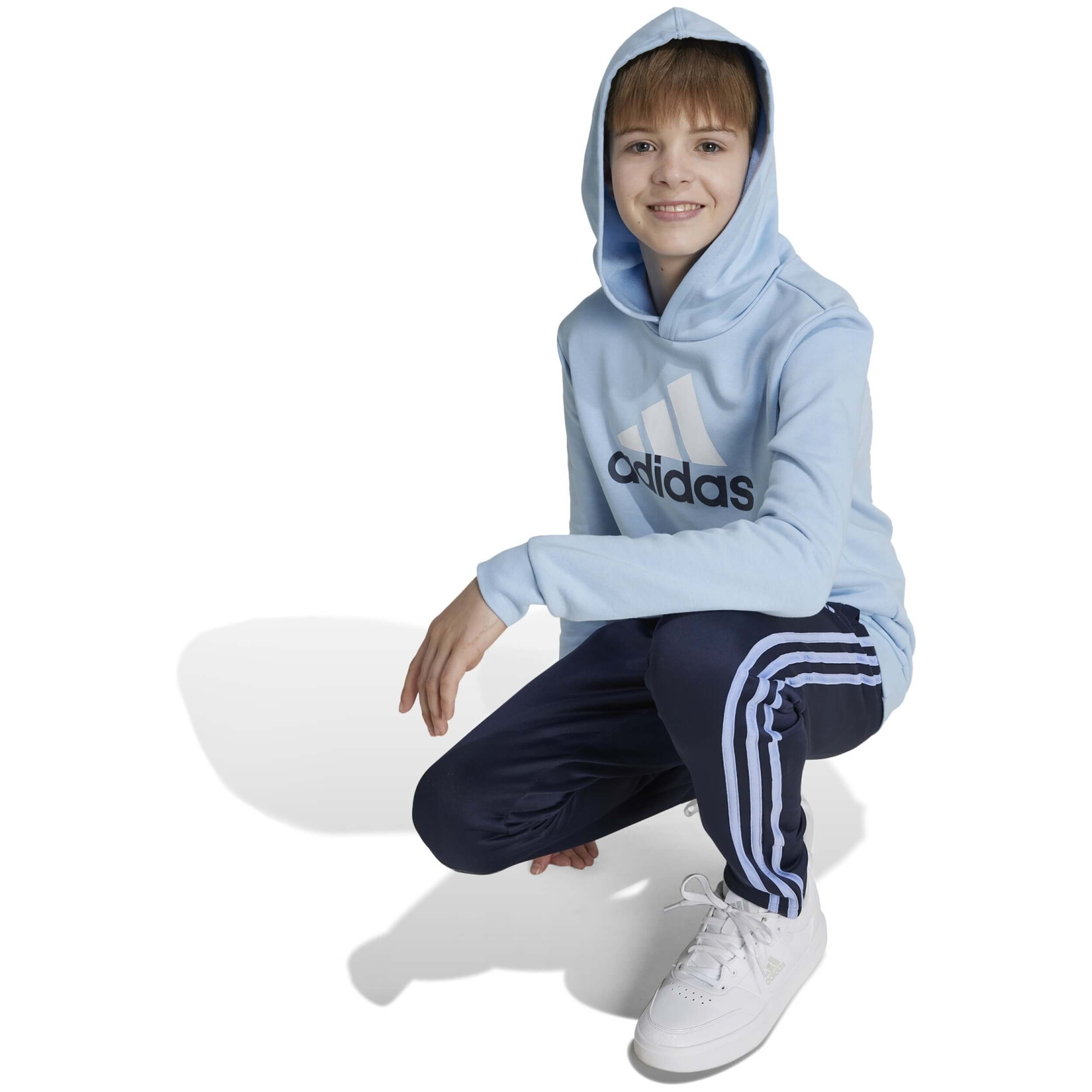 Sudadera Con Capucha Adidas Essentials Big Logo