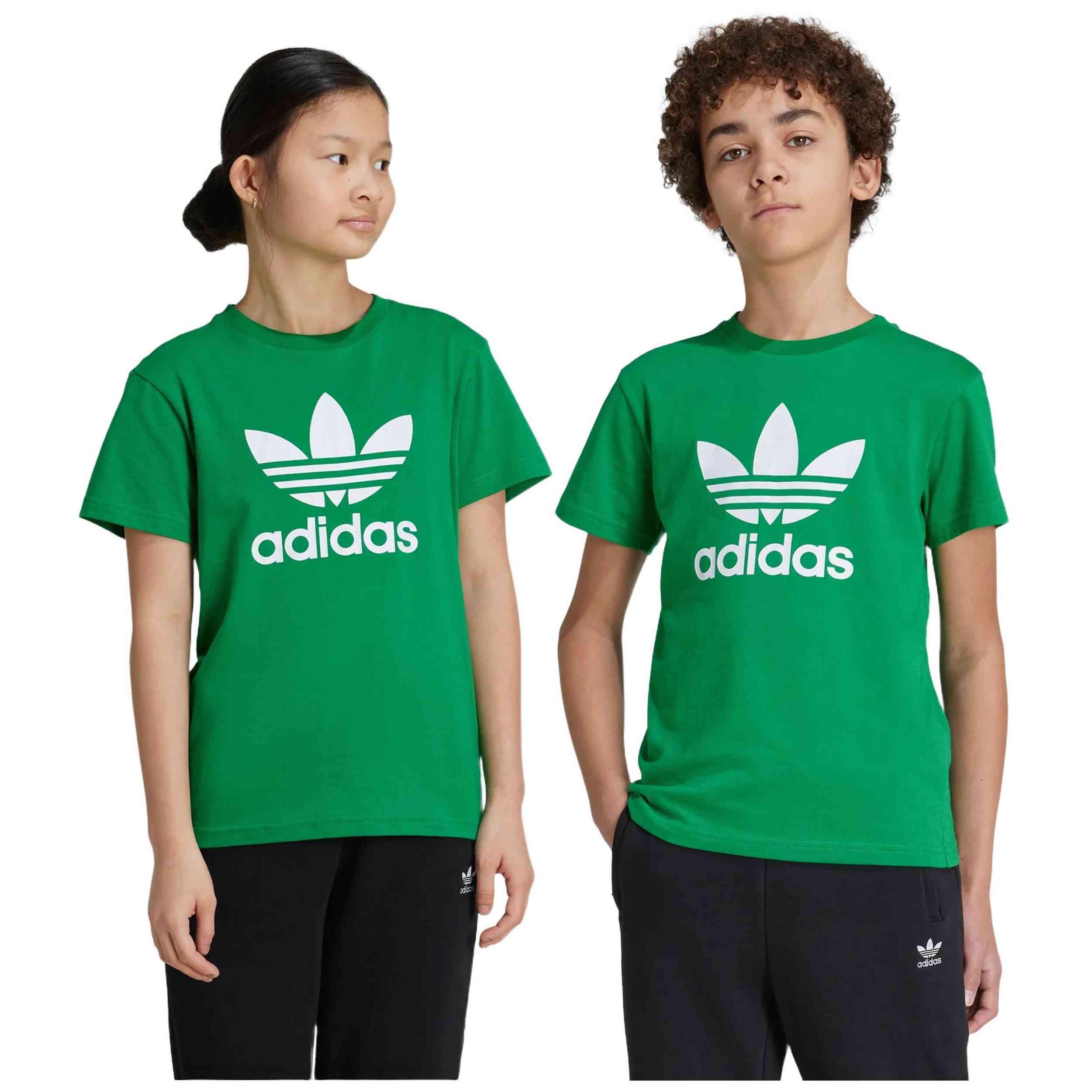 Imagen del producto con referencia IY4003