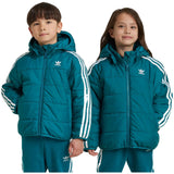 Adidas Adicolor Jacket