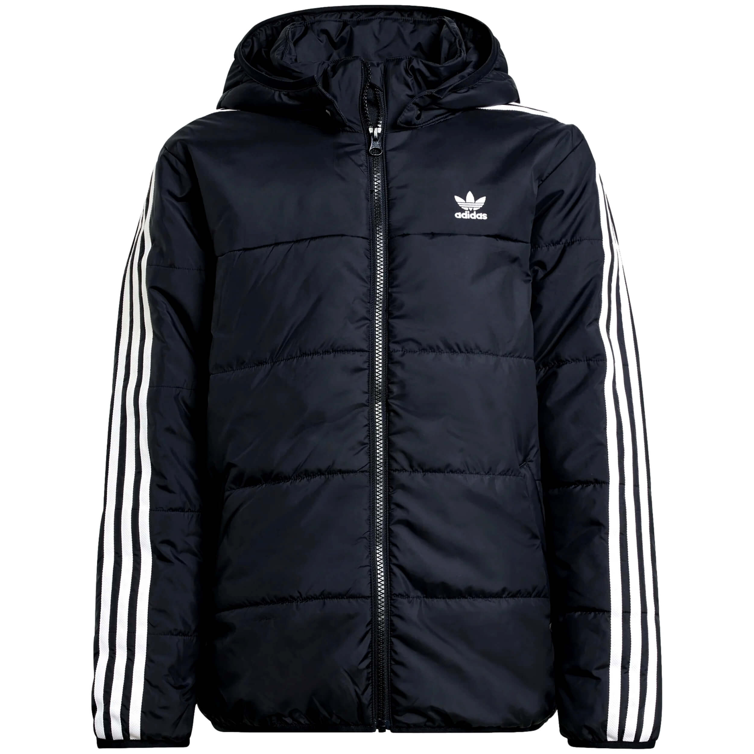 Chaqueta Adidas Padded