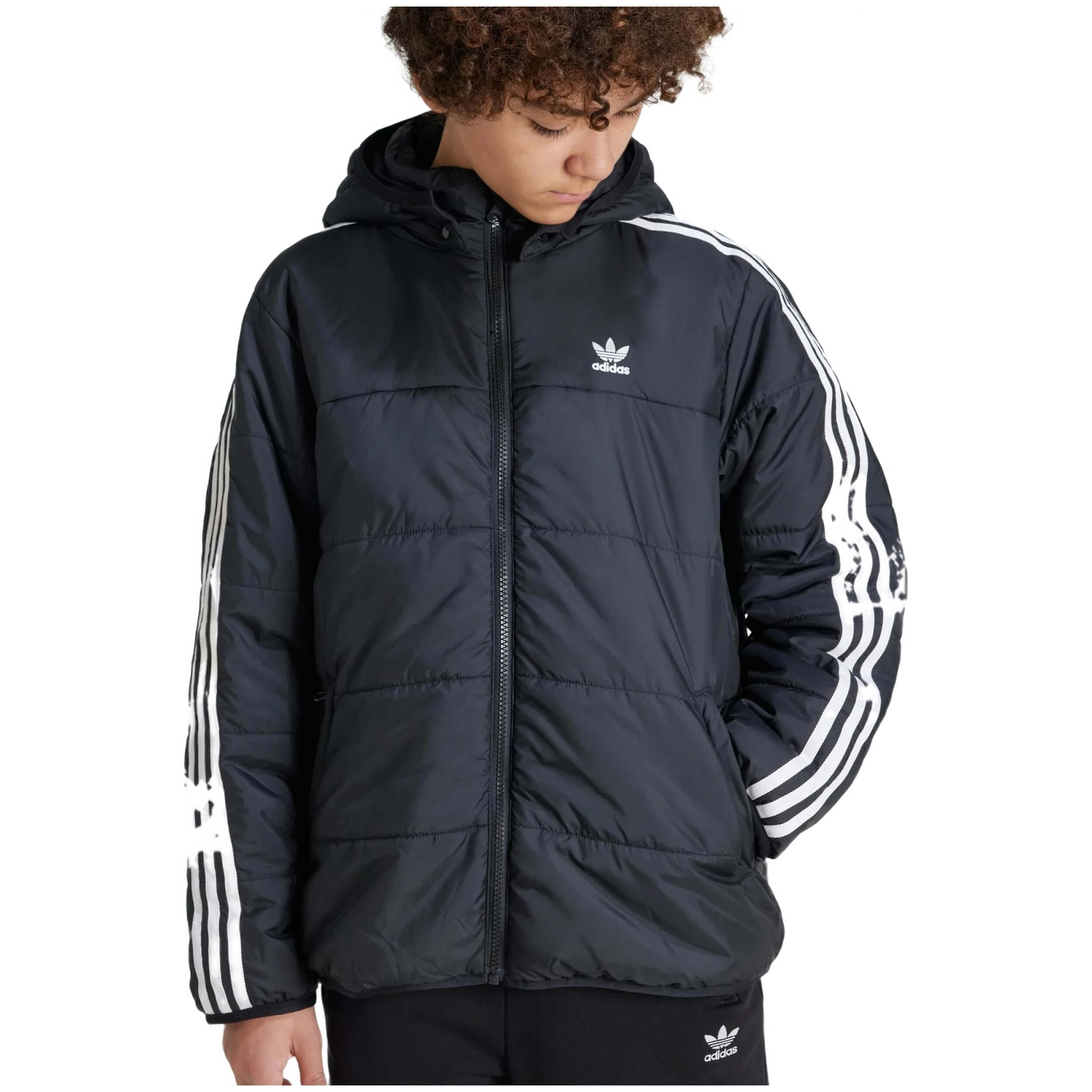 Chaqueta Adidas Padded