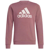 Sudadera Adidas