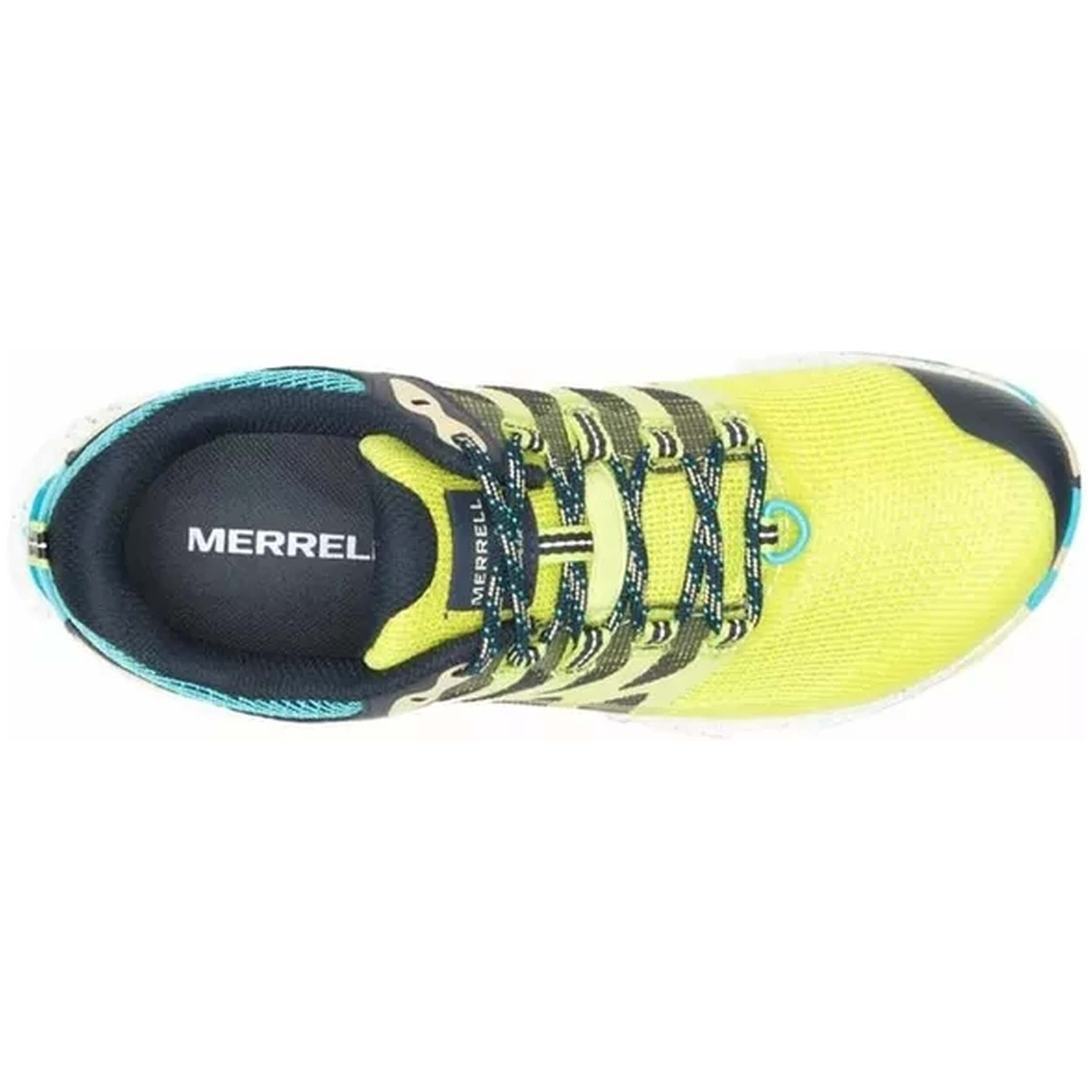 Merrell Antora 3 Shoes - Celery