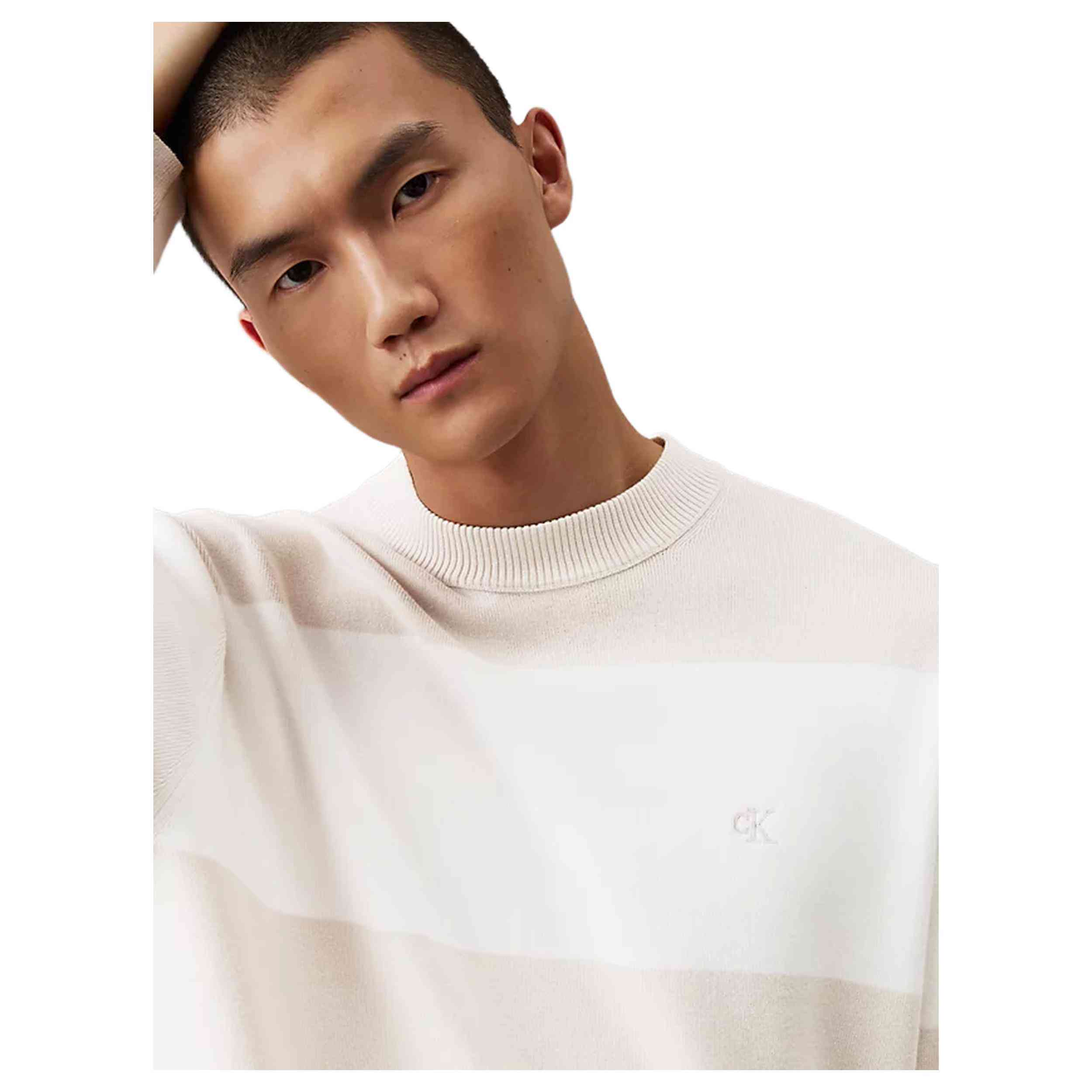 Jersey Calvin Klein Cotton Knit Jumper