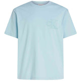 Camiseta De Manga Corta Calvin Klein