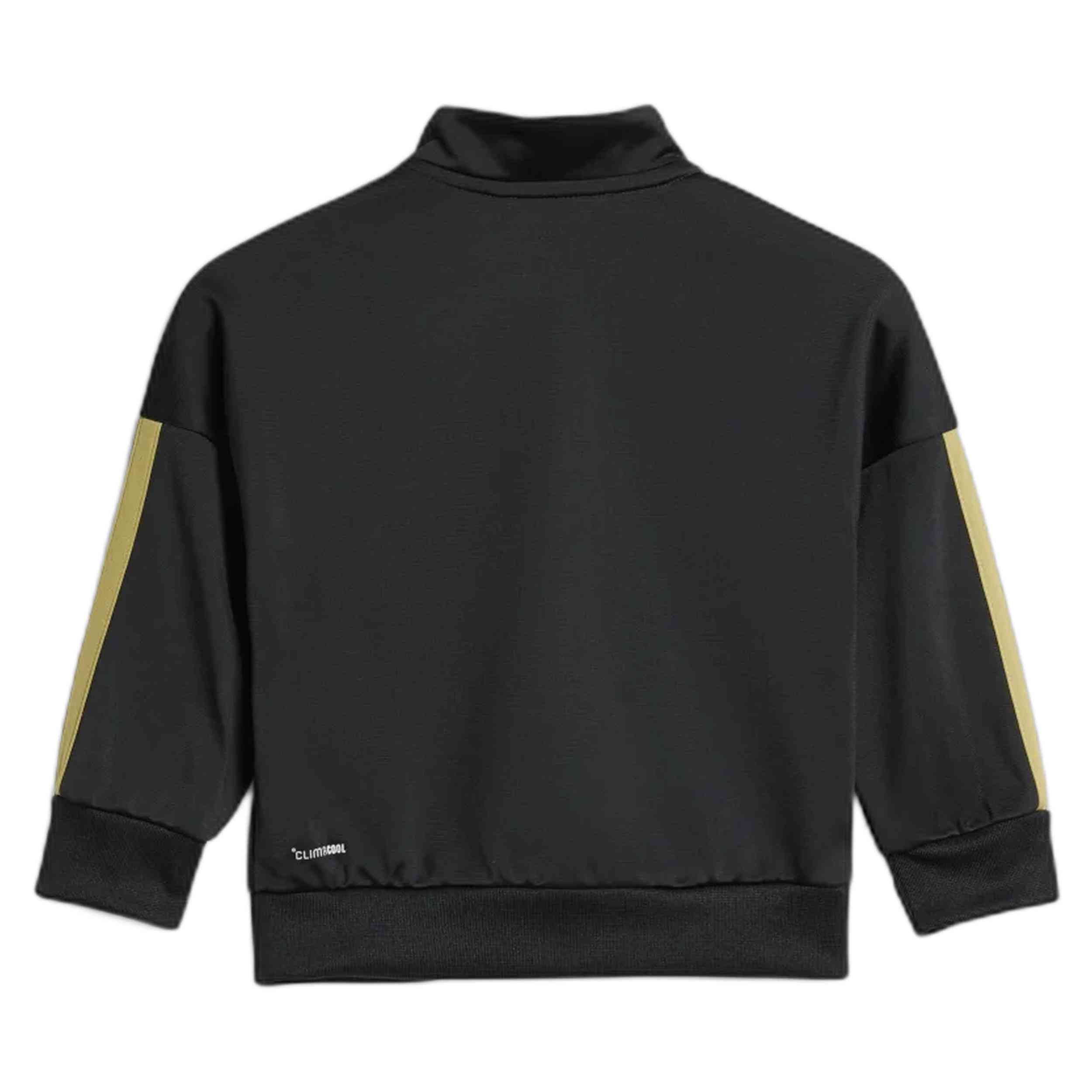 Chandal Completo Adidas Essentials Climacool