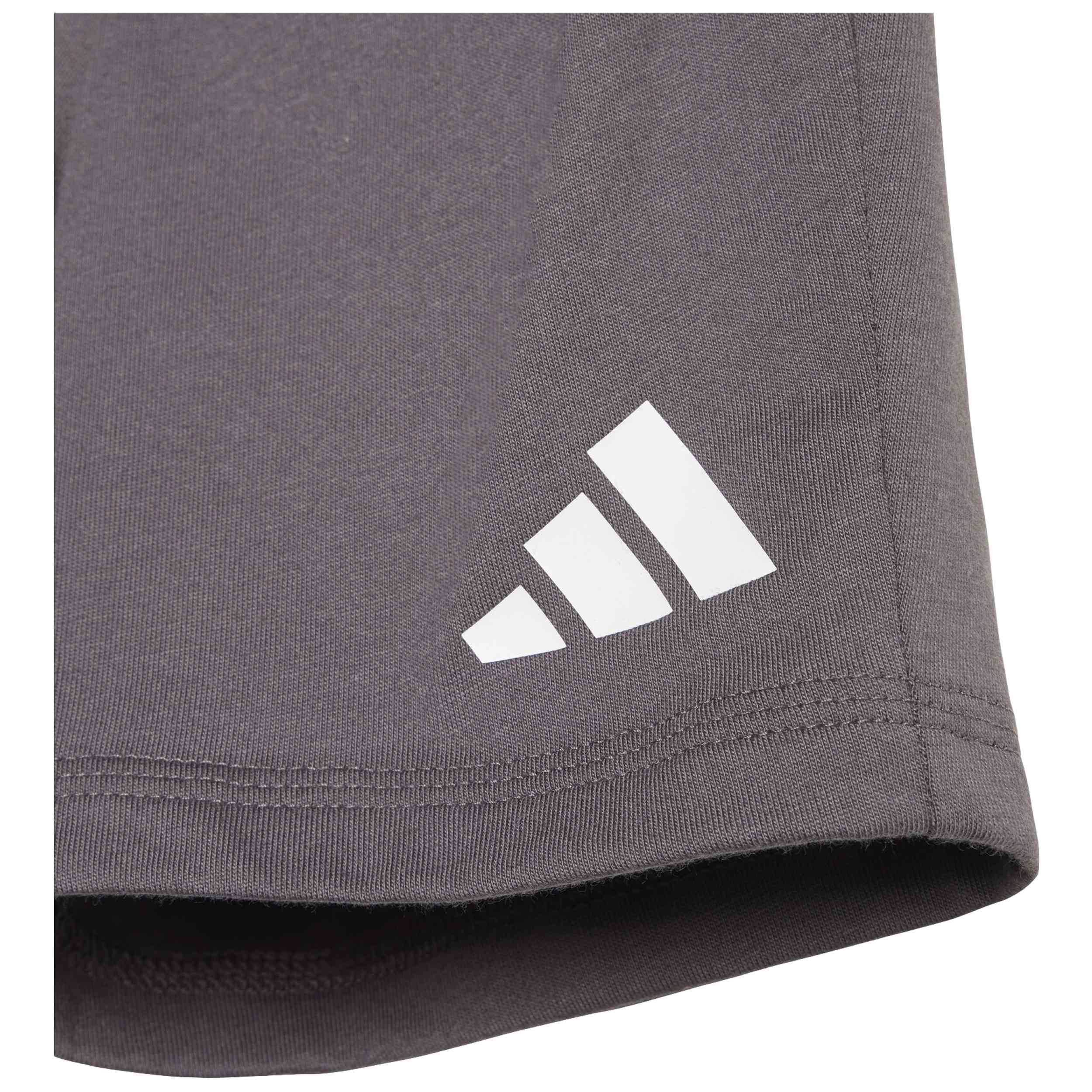 Conjunto Adidas Jc9640