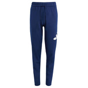 Conjunto Adidas Jc9712