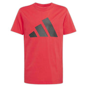 Conjunto Adidas T-Set