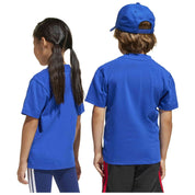 Imagen del producto con referencia JC9717