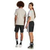 Imagen del producto con referencia JE0310