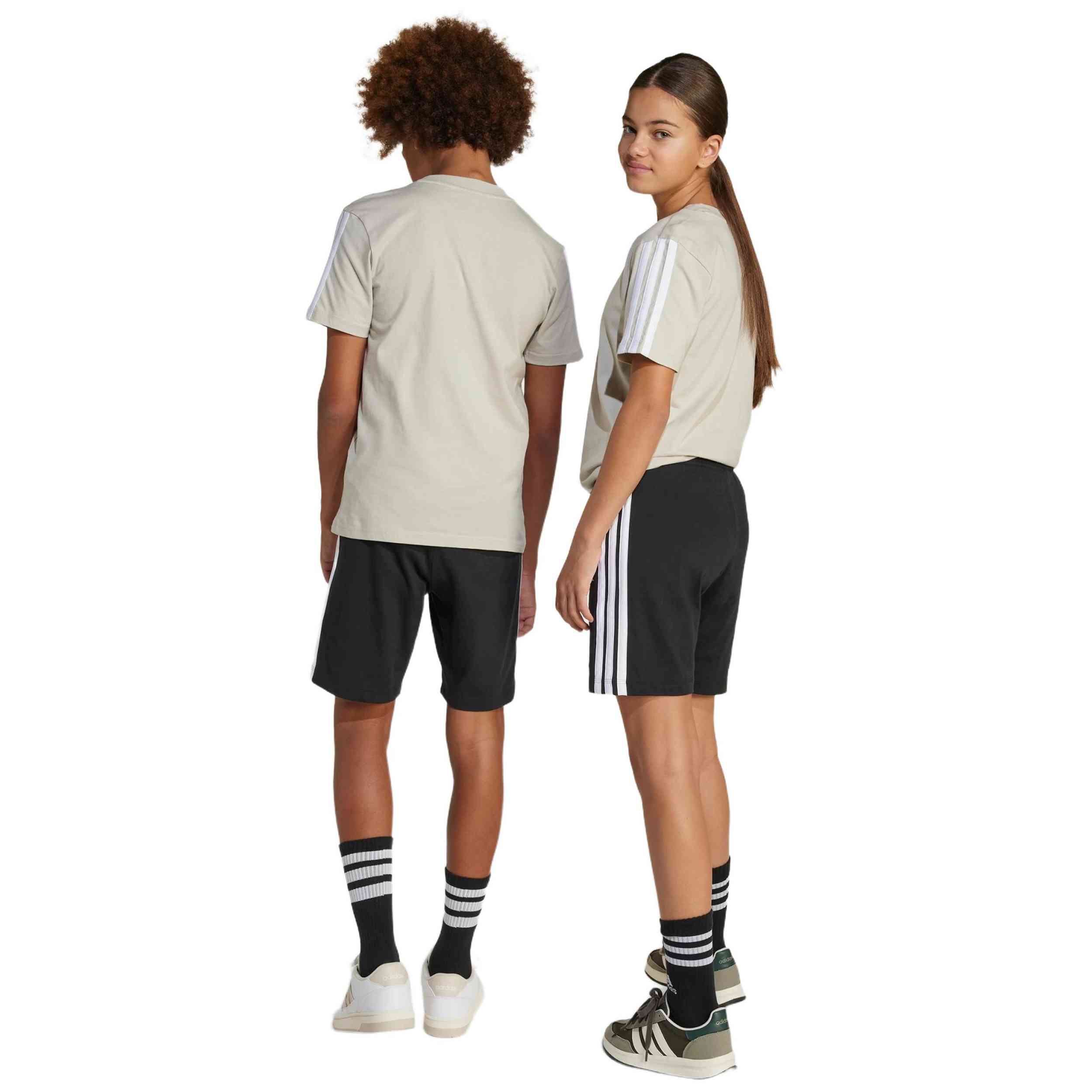 Imagen del producto con referencia JE0310