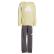 Chandal Adidas Je1384