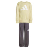Chandal Adidas Je1384