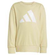 Chandal Adidas Je1384