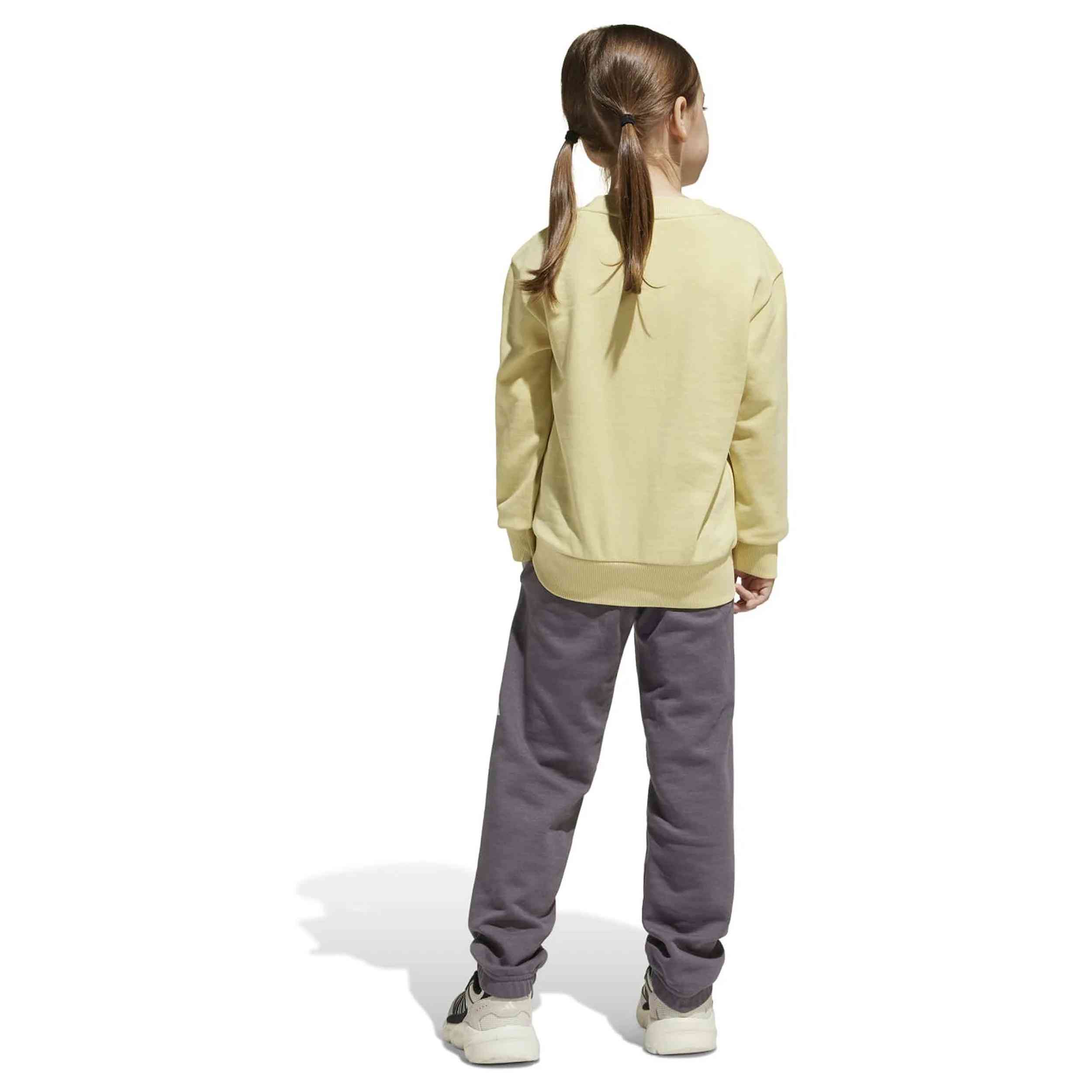Chandal Adidas Je1384